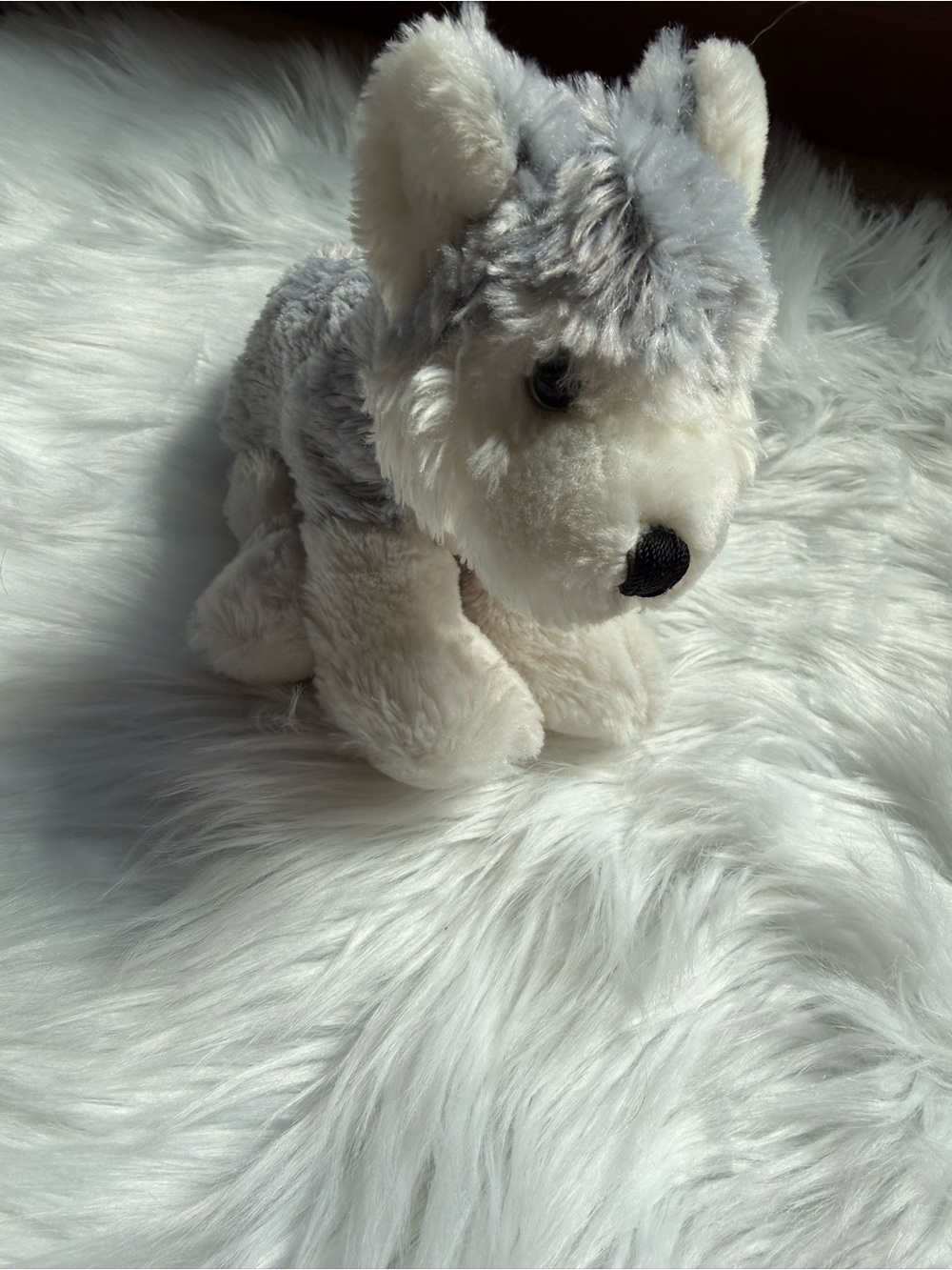 Husky Webkinz
